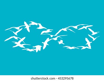 Symbol of infinite freedom. Seagull birds