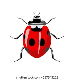 Symbol of a ladybug is on a white background.