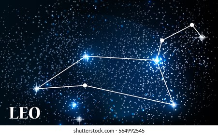 Symbol: Leo Zodiac Sign. Vector Illustration. EPS10