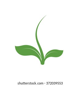 Symbol life. Origin seedling logo. Green plant sign. Vector isolated unusual  sprout illustration. 