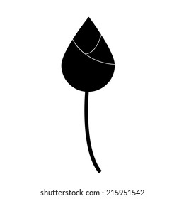 Symbol lotus