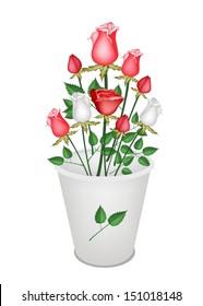 A Symbol of Love, Bright and Beautiful Bouquet of White and Red Roses in Bucket Isolated on White Background 
