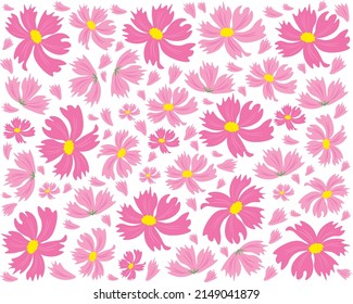 Symbol of Love, Illustration Background of Bright and Beautiful Pink Cosmos Flowers or Cosmos Bipinnatus.
