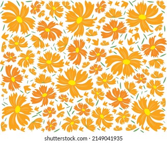 Symbol of Love, Illustration Background of Bright and Beautiful Orange Cosmos Flowers or Cosmos Bipinnatus Isolated on White Background.
