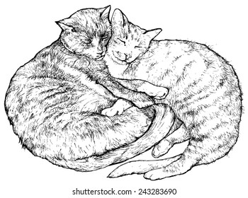 symbol of love yin yang 