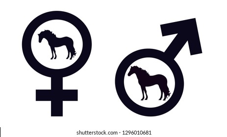 Symbol Of Male And Female Gender Of Animal. Black Icon Of Stallion And Mare. Vector Illustration On White Background. Icon With Horse.