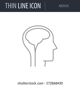 Symbol of Nerve. Thin line Icon of Medicine Part One. Stroke Pictogram Graphic for Web Design. Quality Outline Vector Symbol Concept. Premium Mono Linear Beautiful Plain Laconic Logo