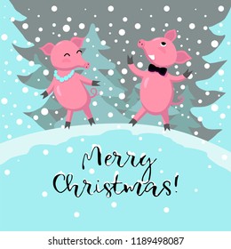 Symbol of new 2019, two pigs have fun and congratulate merry Christmas. Cute animals. Merry Christmas and Happy New Year card. Design for banner or poster. Vector illustration concept.