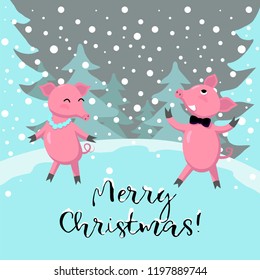 Symbol of new 2019, two pigs have fun and congratulate merry Christmas. Cute animals. Merry Christmas and Happy New Year card. Design for banner or poster. Vector illustration concept.