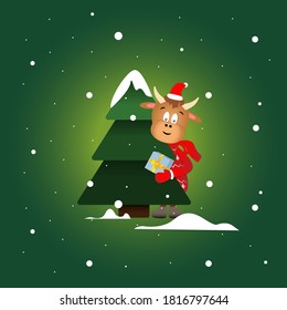 The symbol of the New Year 2021 a bull on a green background, stands with a Christmas tree, holds a gift box. Mascot animal in red Santa hat, sweater with a pattern, snow in a forest, winter postcard.