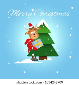 The symbol of the New Year 2021. Bull on a blue background with a Christmas tree, holds a gift box. Mascot animal, ox in red Santa hat, snow in a forest, winter greeting postcard. Vector illustration.