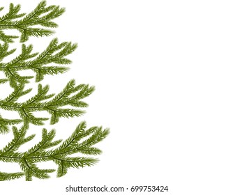 Symbol of the New Year. Four green lush branches spruce. Isolated against white background. Vector illustration