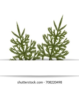 Symbol of the New Year. An image of two green fir trees without a mesh and a gradient. Place for advertising, announcements. Vector illustration