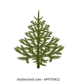 Symbol of the New Year. Picture of a magnificent spruce without a mesh and a gradient. Isolated against white background. Vector illustration