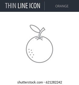 Symbol of Orange. Thin line Icon of Food. Stroke Pictogram Graphic for Web Design. Quality Outline Vector Symbol Concept. Premium Mono Linear Beautiful Plain Laconic Logo