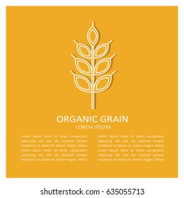 Symbol of organic grain and english text, background vector. Decorative illustration with ears of cereals. Orange and white hand drawn backdrop. Ear of cereal logo, good for printing