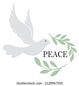 Symbol of peace, dove bird