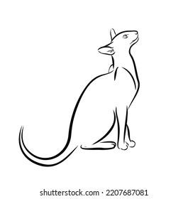 The symbol of a pet cat.
