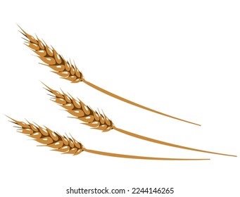 symbol of prosperity wheat harvest icon detailed vector