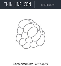 Symbol of Raspberry. Thin line Icon of Food. Stroke Pictogram Graphic for Web Design. Quality Outline Vector Symbol Concept. Premium Mono Linear Beautiful Plain Laconic Logo