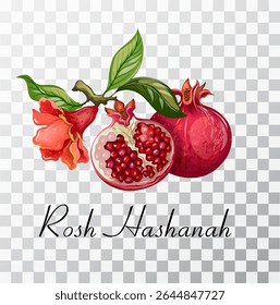 The symbol of the Rosh Hashanah holiday is the pomegranate. The illustration is drawn by hand. Handmade. Vector