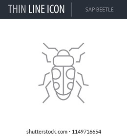 Symbol of Sap Beetle. Thin line Icon of Insect. Stroke Pictogram Graphic for Web Design. Quality Outline Vector Symbol Concept. Premium Mono Linear Beautiful Plain Laconic Logo