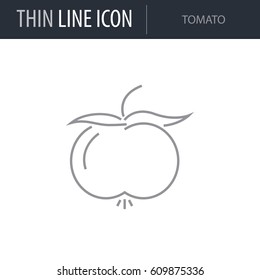 Symbol of Tomato. Thin line Icon of Diet. Stroke Pictogram Graphic for Web Design. Quality Outline Vector Symbol Concept. Premium Mono Linear Beautiful Plain Laconic Logo