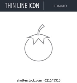Symbol of Tomato. Thin line Icon of Food. Stroke Pictogram Graphic for Web Design. Quality Outline Vector Symbol Concept. Premium Mono Linear Beautiful Plain Laconic Logo