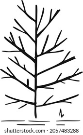 symbol trees line original pattern vector outline