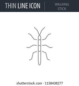 Symbol of Walking Stick. Thin line Icon of Insect. Stroke Pictogram Graphic for Web Design. Quality Outline Vector Symbol Concept. Premium Mono Linear Beautiful Plain Laconic Logo