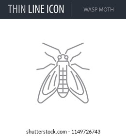 Symbol of Wasp Moth. Thin line Icon of Insect. Stroke Pictogram Graphic for Web Design. Quality Outline Vector Symbol Concept. Premium Mono Linear Beautiful Plain Laconic Logo