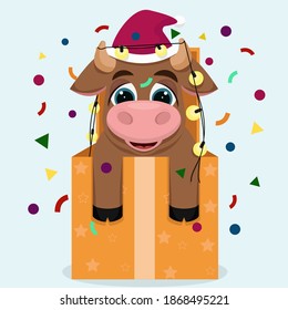 Symbol of the year 2021. A small bull came out of the gift box. Happy New Year greeting card