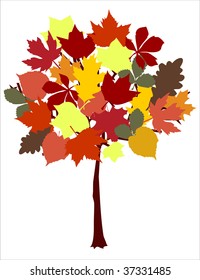 Symbolic autumn tree vector illustration
