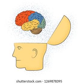 Symbolic drawing of the head with the brain