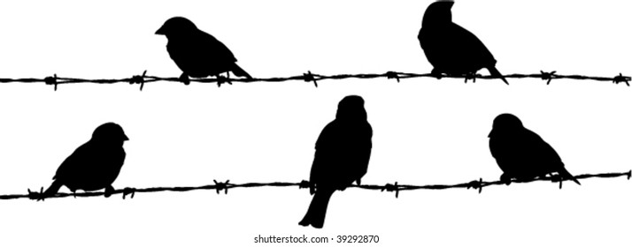symbolic illustration of freedom or prison