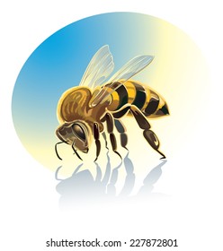 Symbolic image of a bee 