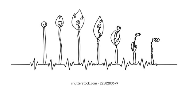 Symbolic image of the life cycle through the image of a match. Slow transition from life to death. Match burning. Youth, youth, maturity and old age. Vector illustration