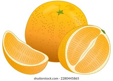 Symbolic representation of a whole ripe orange with peel, a halved orange and an orange slice