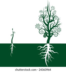 Symbolical growth of a tree