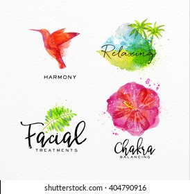 Symbols beauty natural SPA drawing, bird, leaf, hibiscus, tropical island