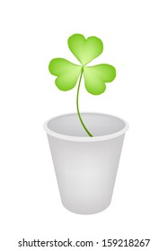 Symbols for Fortune and Luck, Illustration of Fresh Four Leaf Clover Plant or Shamrock in Flowerpot for St. Patricks Day Celebration and Garden Decoration. 