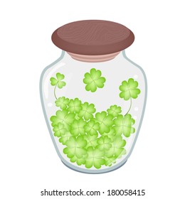 Symbols for Fortune and Luck, Vector Illustration of Fresh Four Leaf Clover Plants or Shamrock in Glass Jar for St. Patricks Day Celebration. 