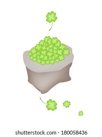 Symbols for Fortune and Luck, Vector Illustration of Fresh Four Leaf Clover Plants or Shamrock in A Canvas Bag for St. Patricks Day Celebration. 
