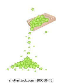 Symbols for Fortune and Luck, Vector Illustration Heap of Fresh Four Leaf Clover Plants or Shamrock Falling from Wooden Box on The Floor for St. Patricks Day Celebration. 