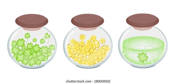 Symbols for Fortune and Luck, Vector Illustration of Four Leaf Clover, Golden Clover and Green Beer in Three Glass Jar for St. Patricks Day Celebration. 