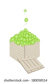 Symbols for Fortune and Luck, Vector Illustration of Fresh Four Leaf Clover Plants or Shamrock in Wooden Crate for Delivery and Send to St. Patricks Day Celebration. 