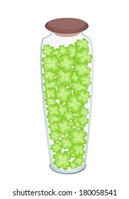 Symbols for Fortune and Luck, Vector Illustration of Fresh Four Leaf Clover Plants or Shamrock in A Tall Glass Jar for St. Patricks Day Celebration. 