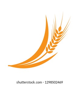 Symbols. for logo design Wheat. Agriculture, corn, barley, stalks, organic plants, bread food natural harvest vector illustration on white