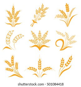 Symbols. for logo design Wheat. Agriculture, corn, barley, stalks, organic plants, bread, food, natural harvest, vector illustration on white background isolated.