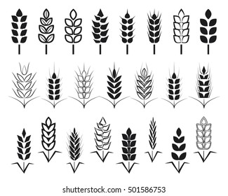 Symbols. for logo design Wheat. Agriculture, corn, barley, stalks, organic plants, bread, food, natural harvest, vector illustration on white background isolated.